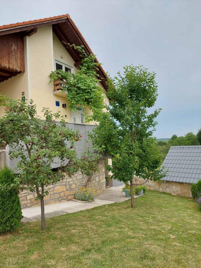 Apartman Hana Apartment Dreznik Grad Exterior photo