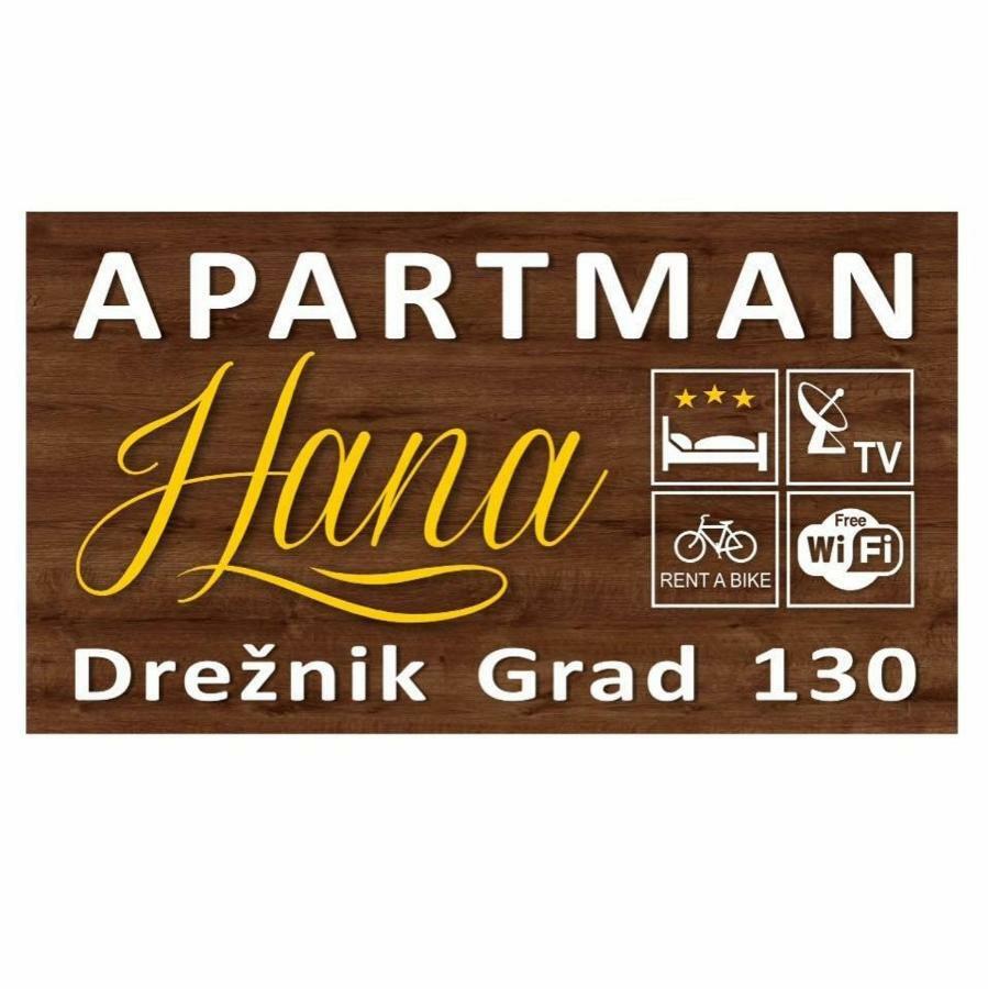 Apartman Hana Apartment Dreznik Grad Exterior photo